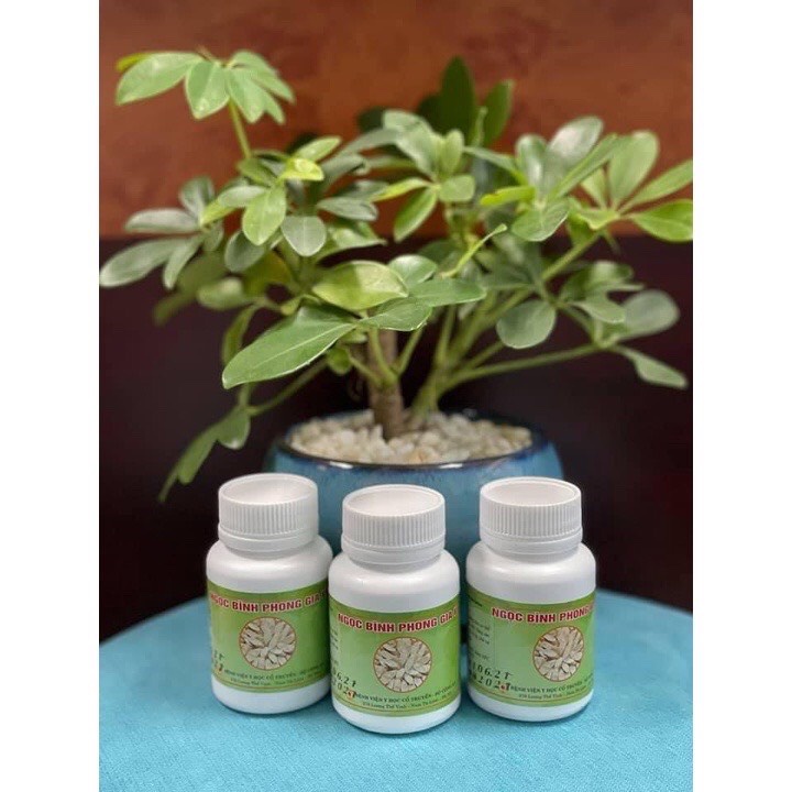 Xuyên Tâm Liên - Ngọc Bình Phong Gia Vị - Bệnh viện YHCT Bộ Công An