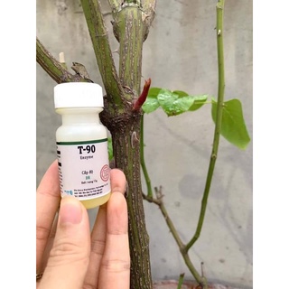 Chế phẩm t90 siêu bật mầm, bật chồi cho cây