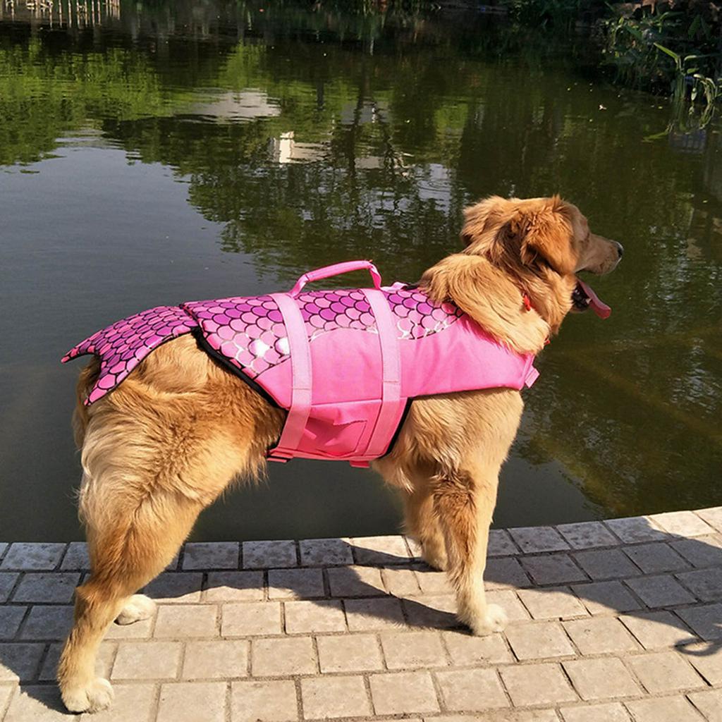 Áo phao bơi an toàn cho thú cưng chất lượng