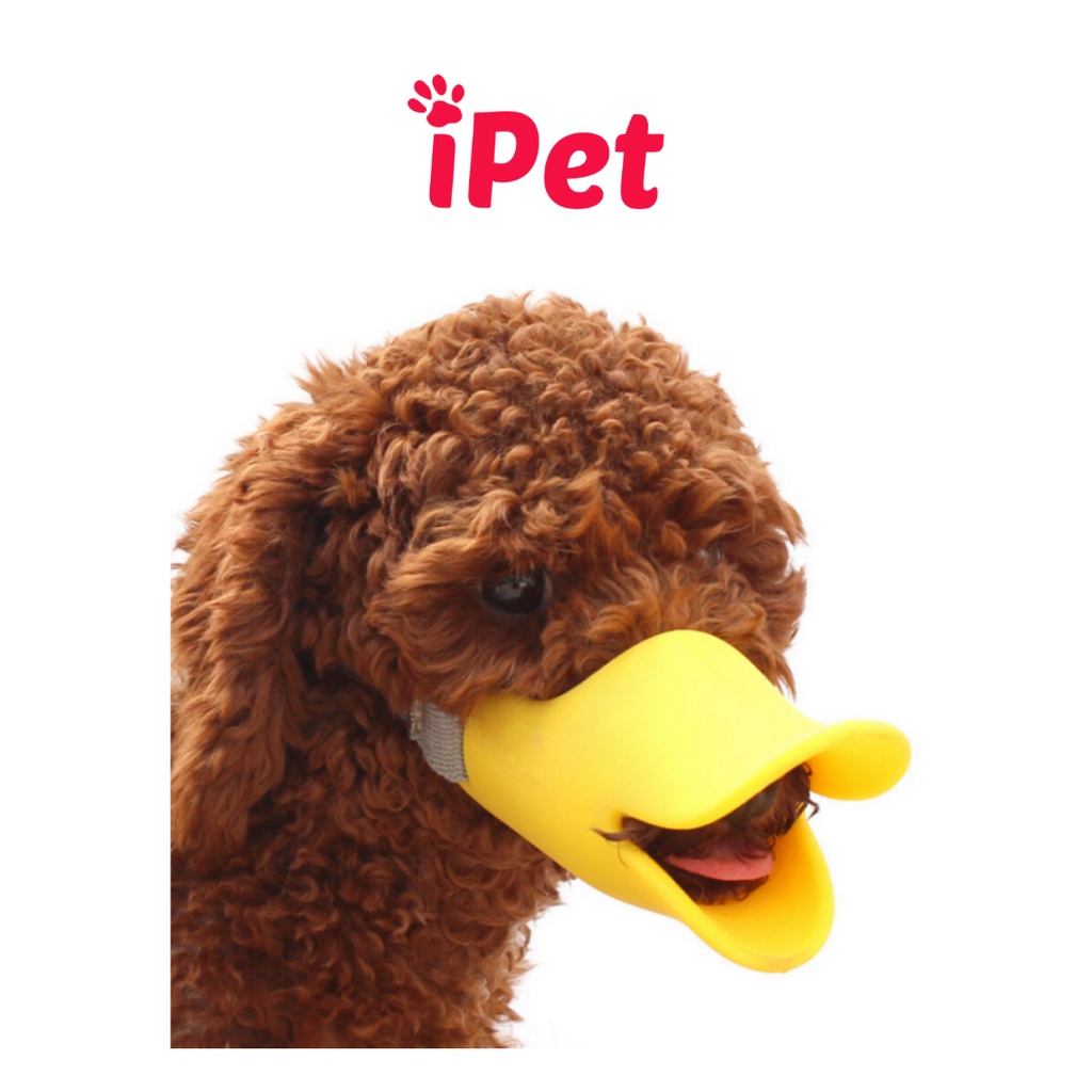 Rọ Mõm Silicon Mỏ Vịt Cho Thú Cưng - iPet Shop
