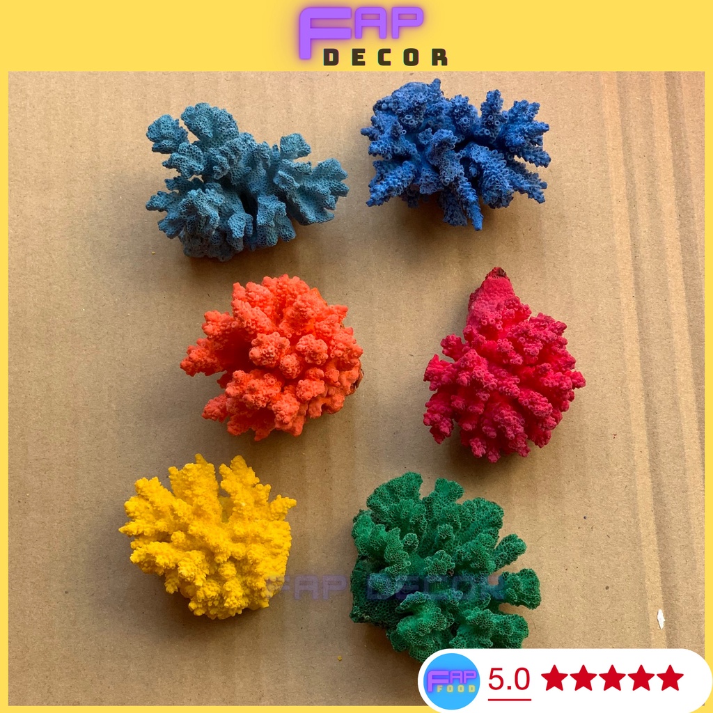 BÔNG RẠN SAN HÔ MINI PHONG THỦY PHỐI MÀU DECOR NHÀ CỬA, SAN HÔ NHIỀU MÀU TRANG TRÍ THỦY SINH