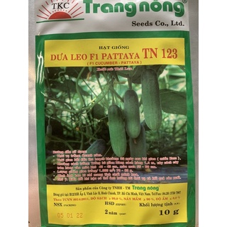 Hạt giống dưa leo lai f1 tn 123