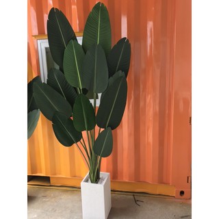 Cây chuối giả 2m