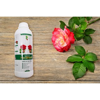 Dịch trùn quế Masinari chai 250 ml