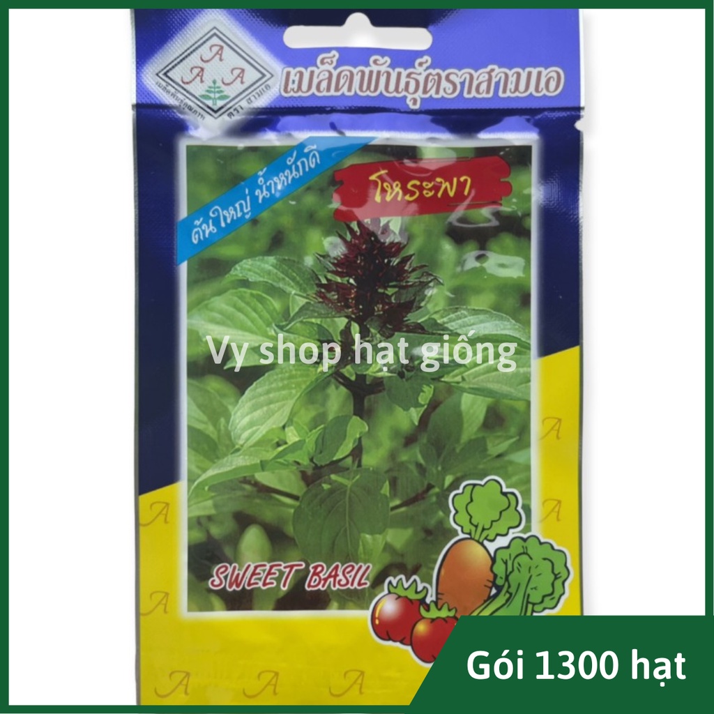 Hạt giống húng quế (húng chó) Thái Lan gói 1300 hạt