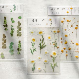 Nhãn dãn sticker hoa 1 Tả Bí Lù Store