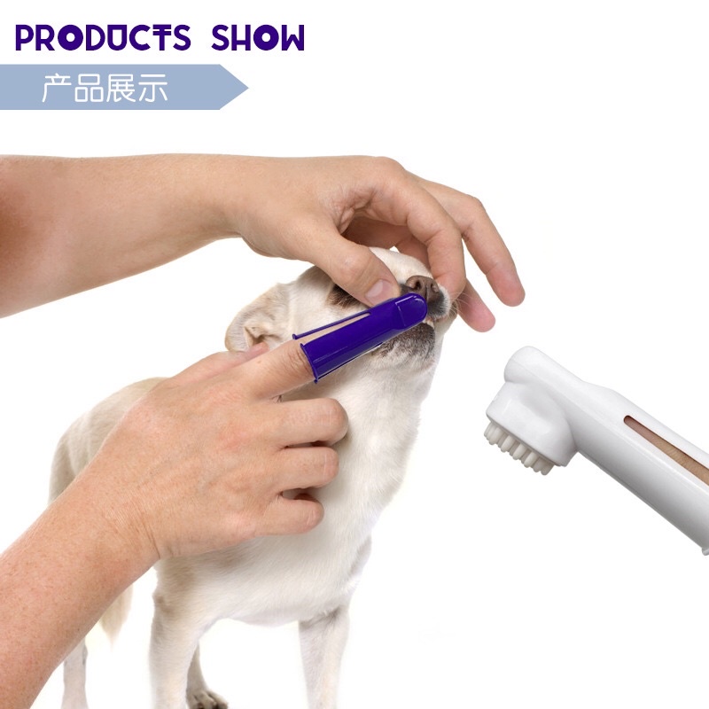 Bộ Đánh Răng Cho Chó Mèo, Bàn Chải Đánh Răng Cho Chó Mèo BOMPET