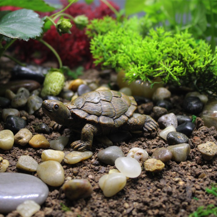 Mô hình rùa núi đá sống động dùng trang trí tiểu cảnh, bể thủy sinh, terrarium, DIY