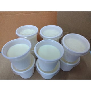 Yaua phô mai Đà Lạt 10 Hủ
