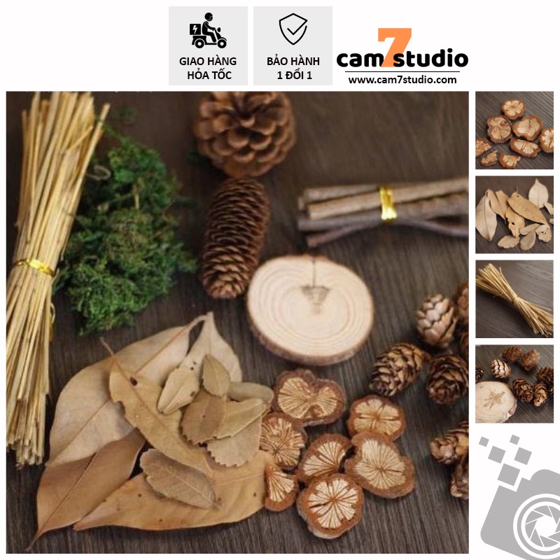 Set đồ khô trang trí chụp ảnh - Cam7Studio.com