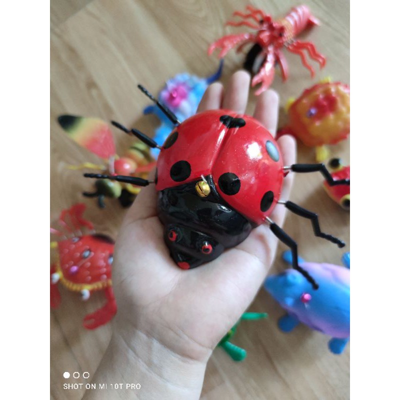 Đồ chơi thú 3D còn vật có dây kéo đáng yêu cho bé
