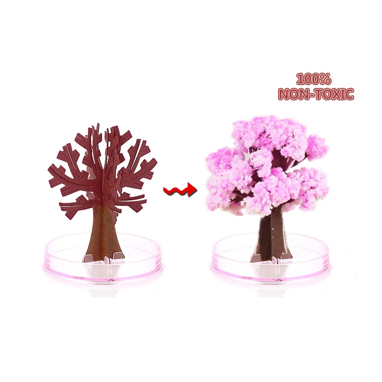 Bộ nuôi tinh thể hoa anh đào Nhật Bản nuôi tinh thể KDP /  ADP -  Quà tặng đặc biệt cho bạn bè