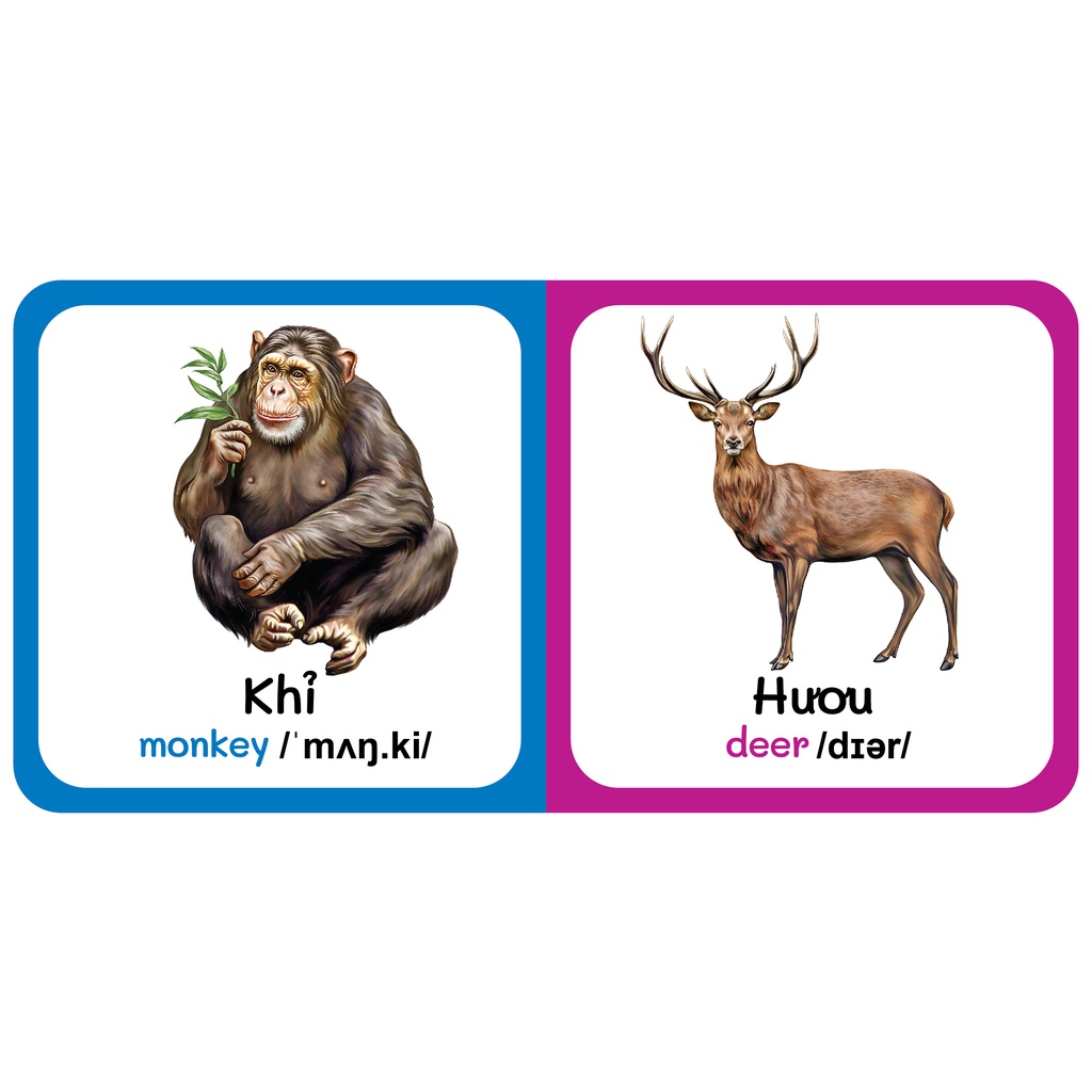 Sách - Baby'S First Picture Dictionary - Từ Điển Bằng Hình Đầu Tiên Của Bé - Động vật hoang dã - Wild Animals (Bìa Cứng)