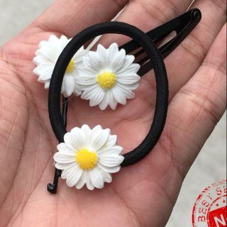 Sét 3 món cột+kẹp tách+kẹp tăm