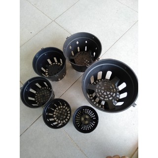 50 Chậu lan đen fi 18