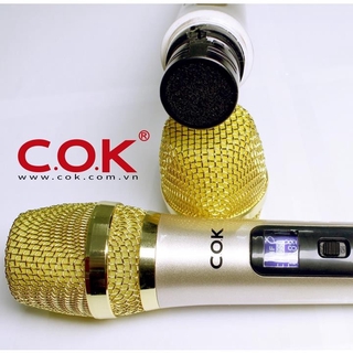 Micro Không Dây C.O.K ST-123 (2 Micro), Micro Karaoke