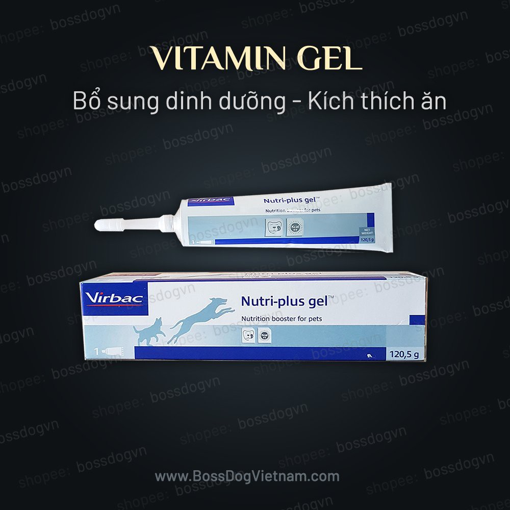 Gel Dinh dưỡng cho chó - Bổ sung Vitamin khi chó biếng ăn, tăng đề kháng | BossDog