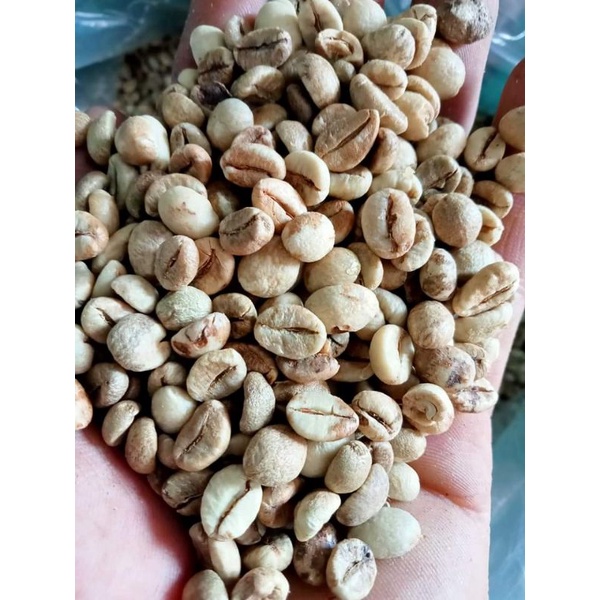 Cafe Robusta nguyên chất lựa chín Buôn Mê Thuột 500g