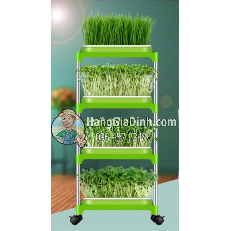 Bộ kệ trồng rau mầm cỏ lúa mì 4 tầng + 4 khay  2 lớp có bánh xe