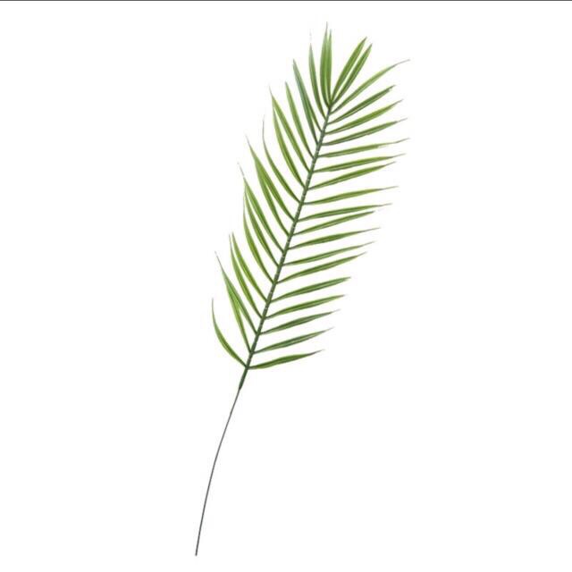 Phụ kiện chụp ảnh, decor -cành lá,hoa quả - HN