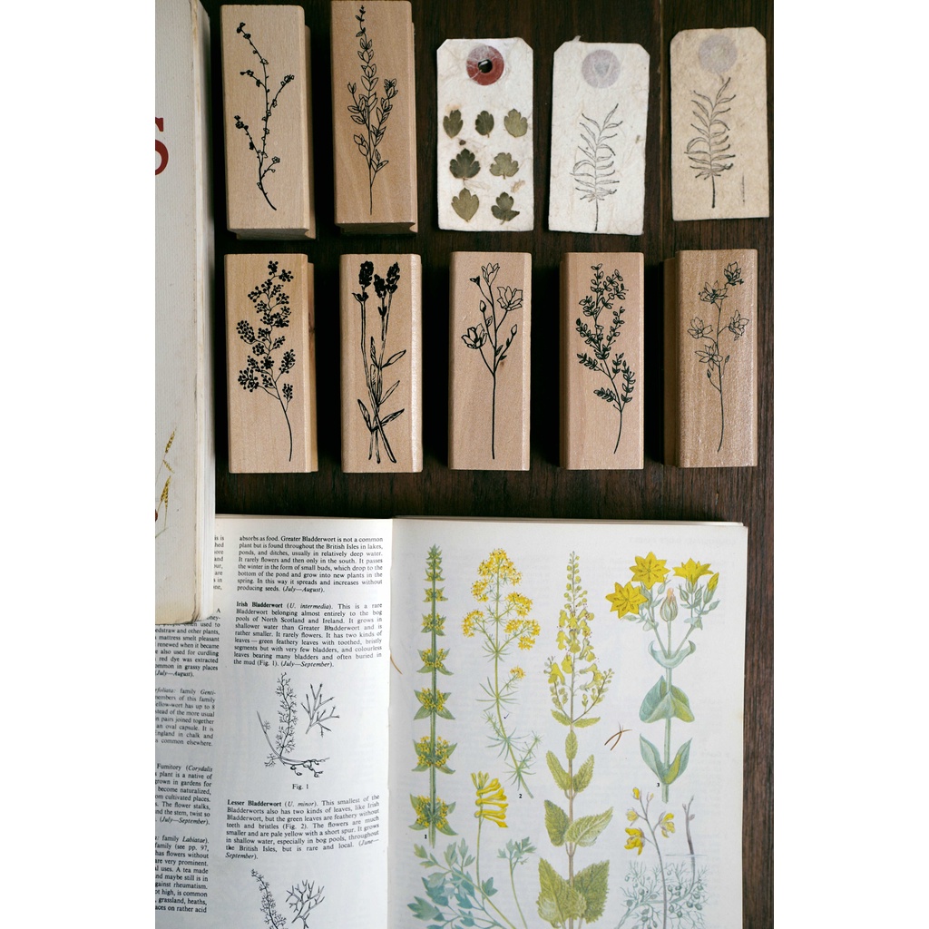Con dấu gỗ - bộ Wild flowers