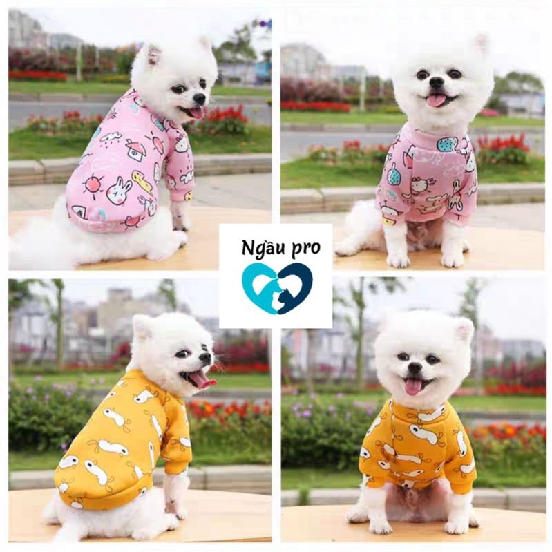 Quần áo cho mèo, Áo cho chó poodle phốc sóc in hoạ tiết hoạt hình nhiều màu sắc, Thời trang quần áo chó mèo con size SM