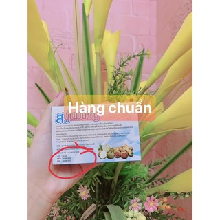 XÀ PHÒNG NỞ NGỰC
