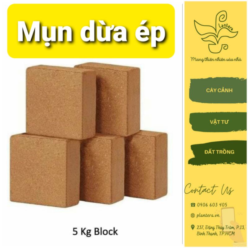 Đất trồng cây, Đất nén Mụn Dừa Ép Bánh 5kg Giá Rẻ - Giá Thể Trồng Rau Mầm, Thủy Canh