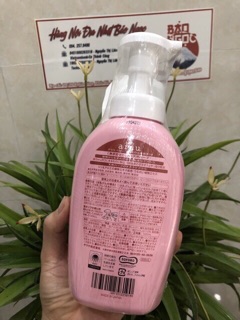 Nước Rửa Bình Sữa Arau Baby Dạng Chai 500ml