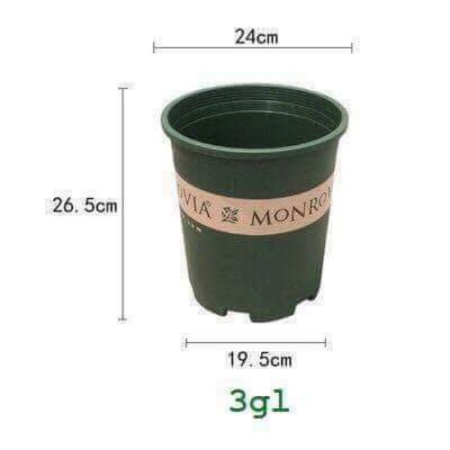 Chậu monrovia 3gal hàng chính hãng