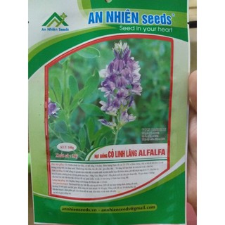 Hạt cỏ chăn nuôi ALFALFA 1kg
