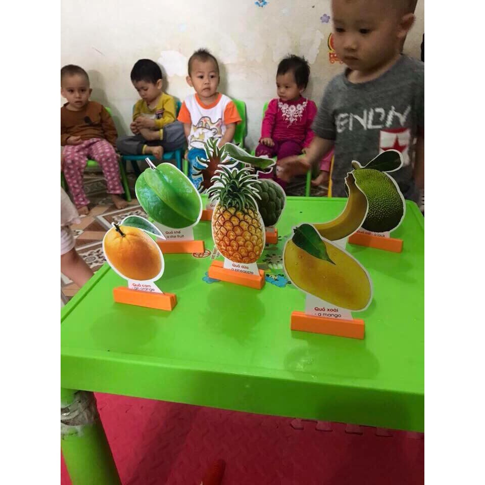 Thẻ học thông minh (nhiều loại côn trùng, động vật nuôi,biển, quả, doanh trại bộ đội)