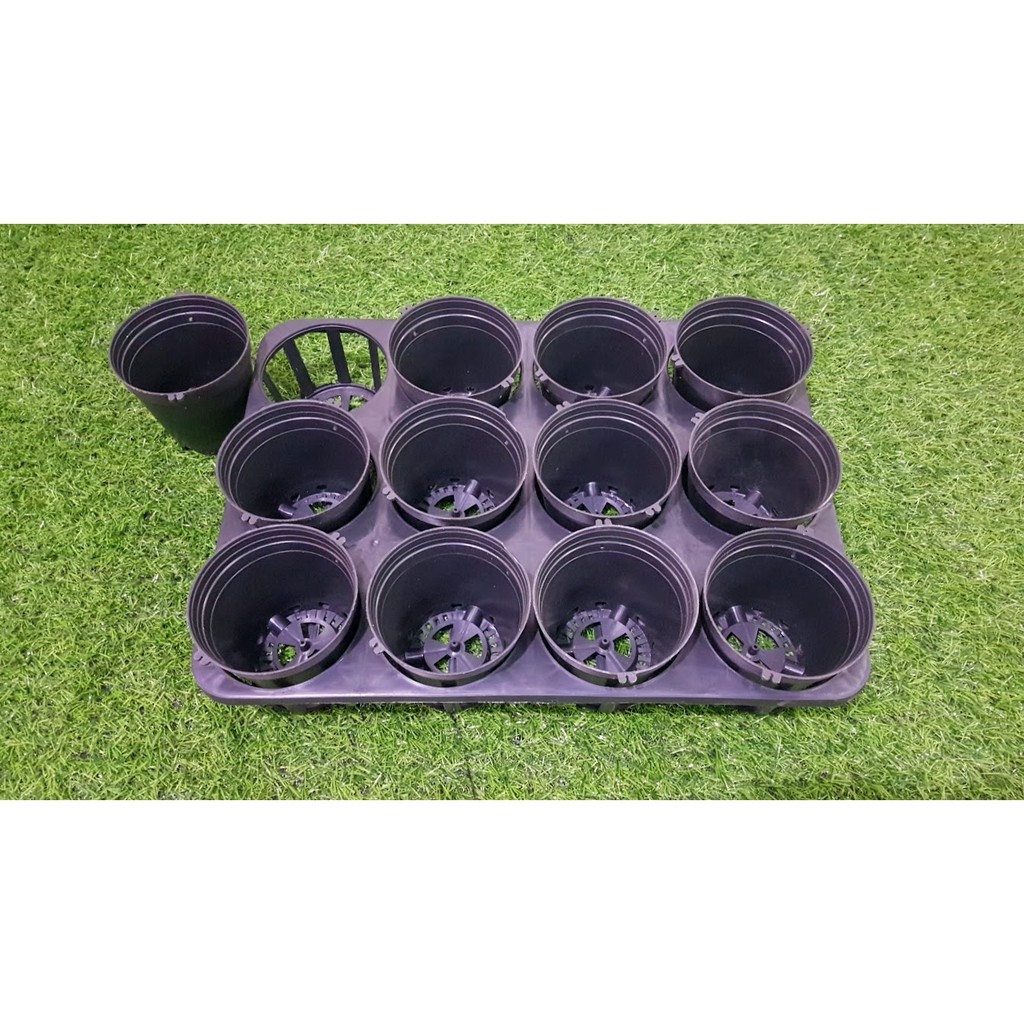 Combo 1 khay 3.5in 12 lổ chuyên dùng đựng chậu hồ điệp và 12 chậu đen bít 10cm.