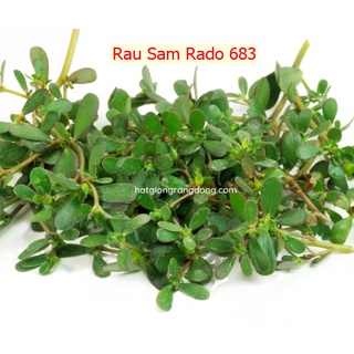 Rau sam rado 683