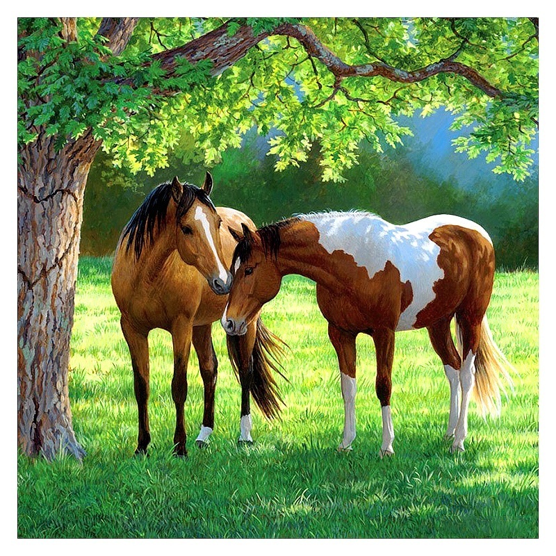 Bộ Tranh Đính Đá Tự Làm 5D DIY Cho Người Lớn