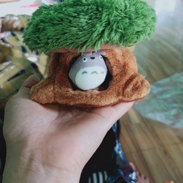 Gấu anh quân