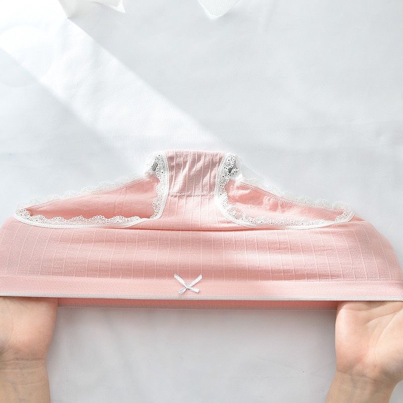 Hộp 5 Quần Cotton Viền Ren Thiên Nga Co Dãn 4 Chiều