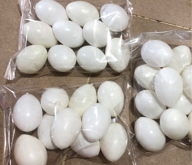 Đồ chơi trứng gà và trứng vịt
