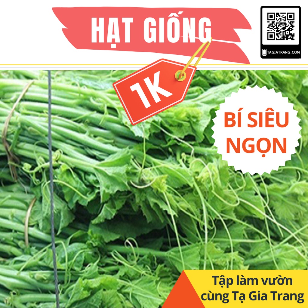 Deal 1K - 2 Hạt giống bí siêu ngọn (bí siêu đọt) - Tập làm vườn cùng Tạ Gia Trang