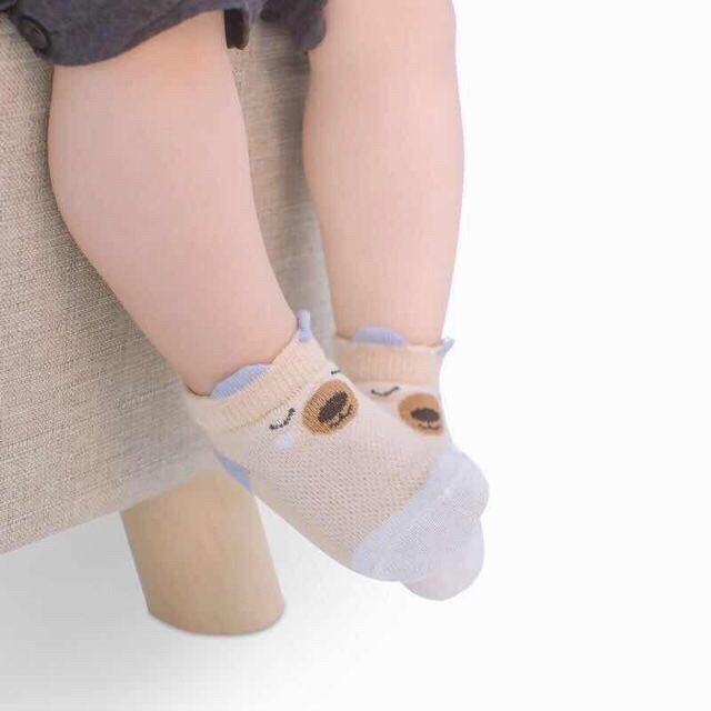 Sét 5 Đôi Tất Lưới Cổ Thấp Kid's Socks