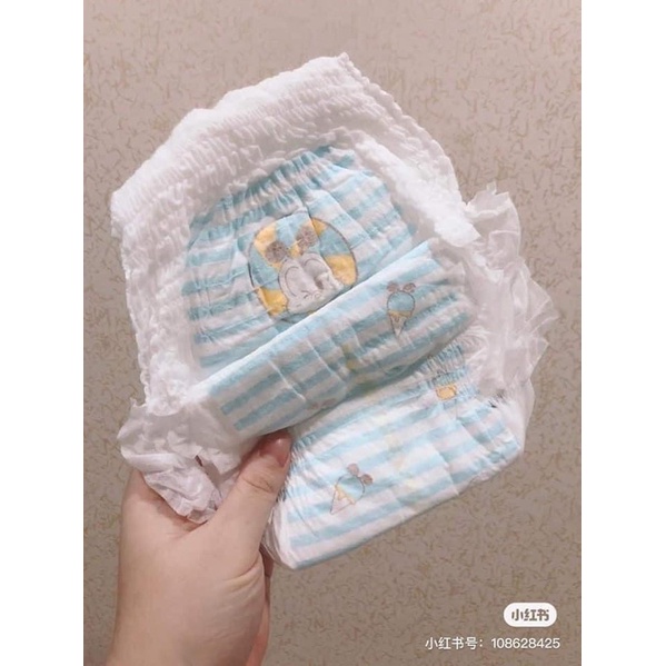 BỈM QUẦN TRẦN BOBDOG SIZE M/L/XL/2XL/3XL 100 MIẾNG