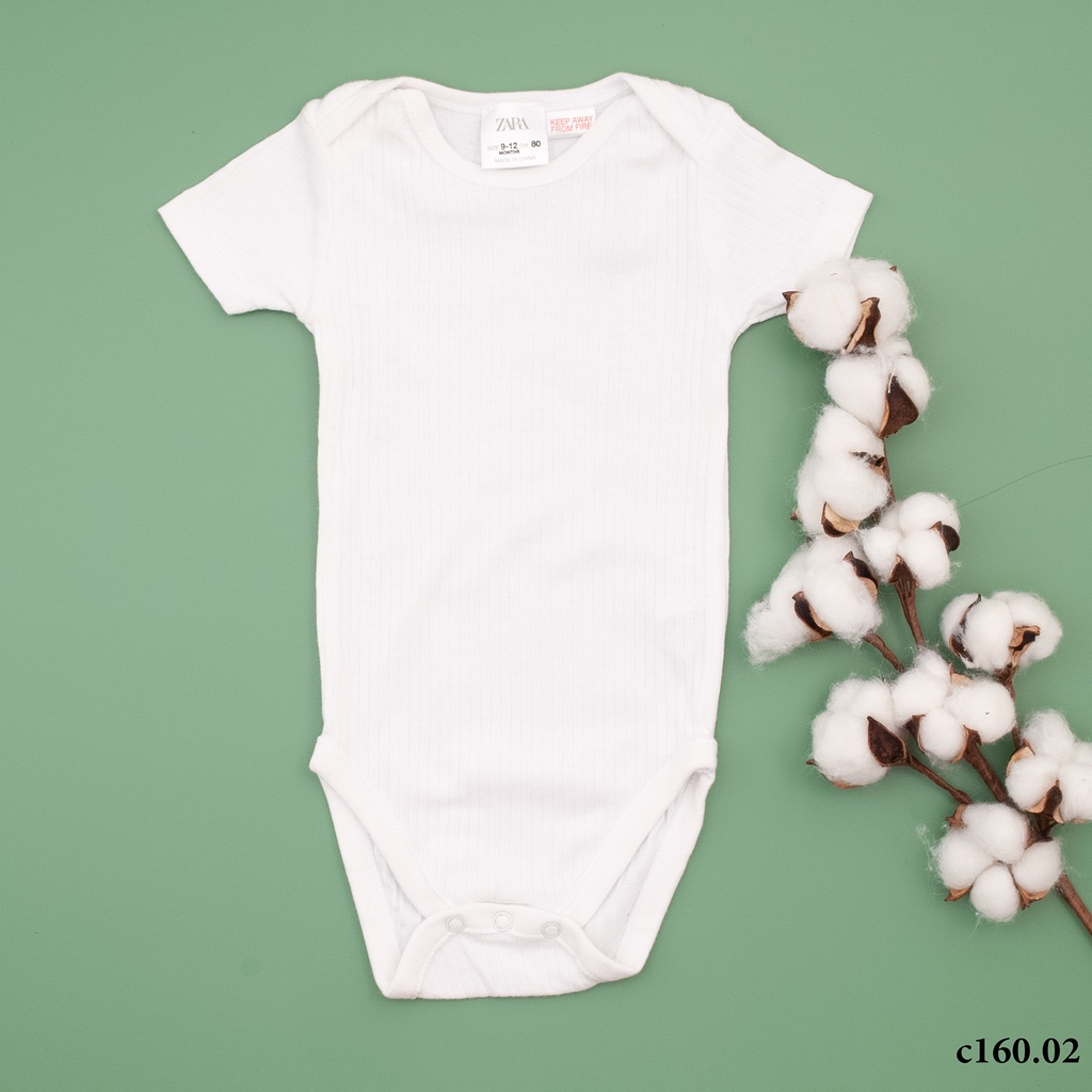 Body chip cộc tay cotton mềm mại phong cách nhẹ nhàng thời trang COLORISTA