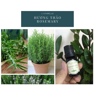 Tinh dầu hương thảo Laturelle