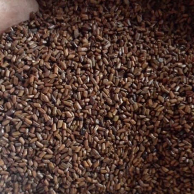 Combo hạt muồng + bóng
