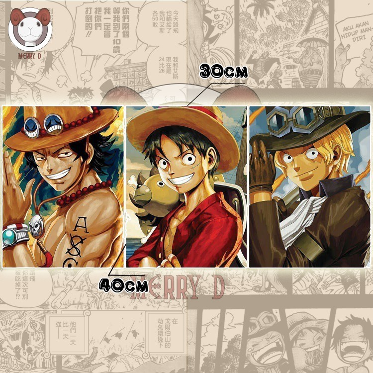 POSTER ĐỘNG 3 TRONG 1 3D 40x30cm ONEPICE ASL ACE, LUFFY, SABO - THAY ĐỔI GÓC NHÌN - BIẾN HÌNH -