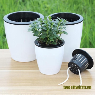 Chậu Trồng Cây Thủy Canh Hấp Thụ Nước Tự Động