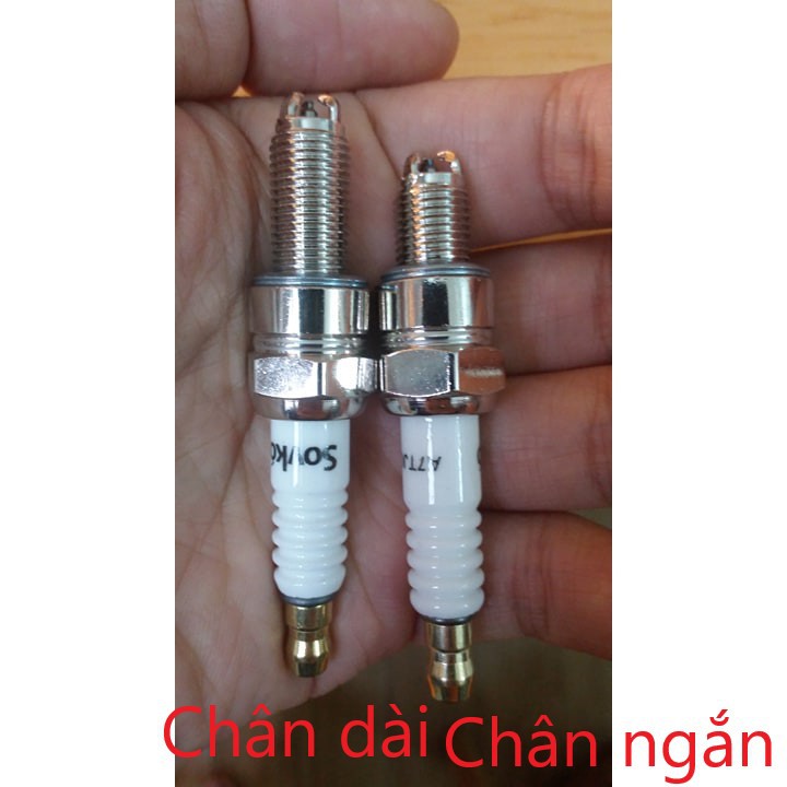 [HOT NHẤT] Bugi 3 Chấu Sovko Nhập Khẩu - chân dài