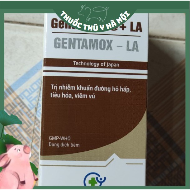 Gentamox Tác Dụng Kéo Dài 48h