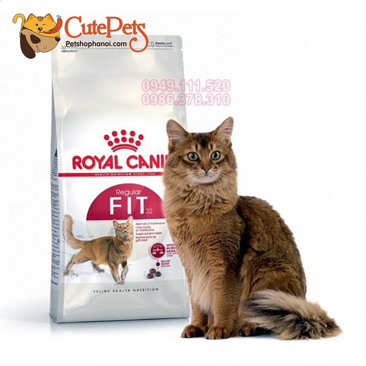 Hạt Royal Canin Fit 32 Tải 10kg Thức ăn cho mèo lớn - Phụ kiện thú cưng Hà Nội