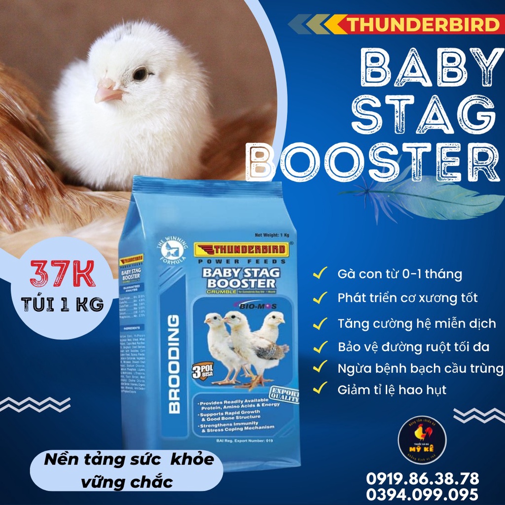 Thức ăn cho gà con Thunderbird Baby từ 0-3 tháng tuổi, tú thumbnail